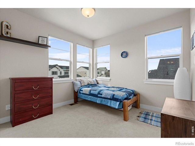 1322 Alyssa Drive, Timnath, CO 80547