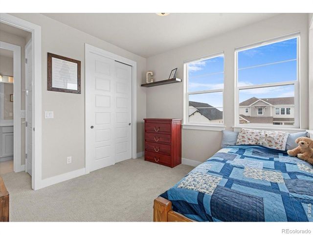 1322 Alyssa Drive, Timnath, CO 80547