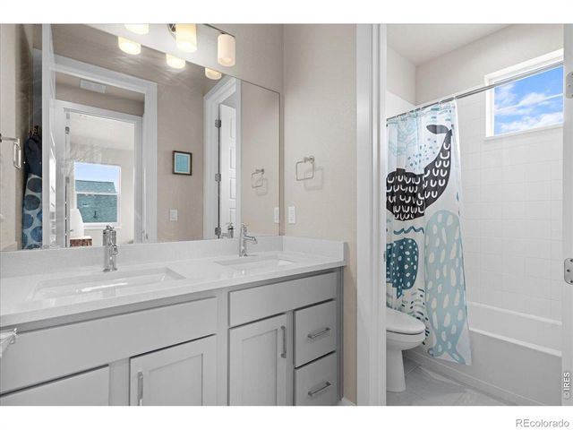1322 Alyssa Drive, Timnath, CO 80547