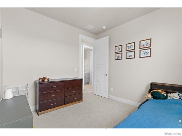 1322 Alyssa Drive, Timnath, CO 80547