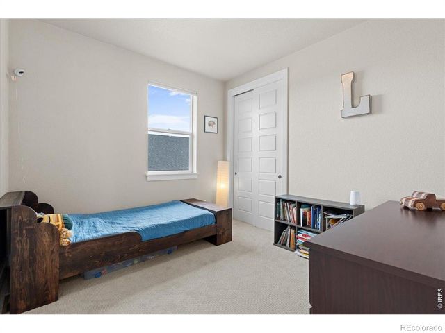 1322 Alyssa Drive, Timnath, CO 80547