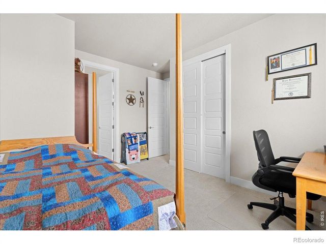 1322 Alyssa Drive, Timnath, CO 80547