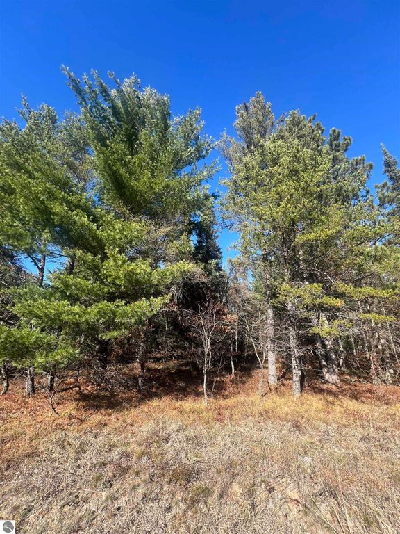 Image 2 of property listing at 0000 E North Down River Road, Grayling, MI 49738