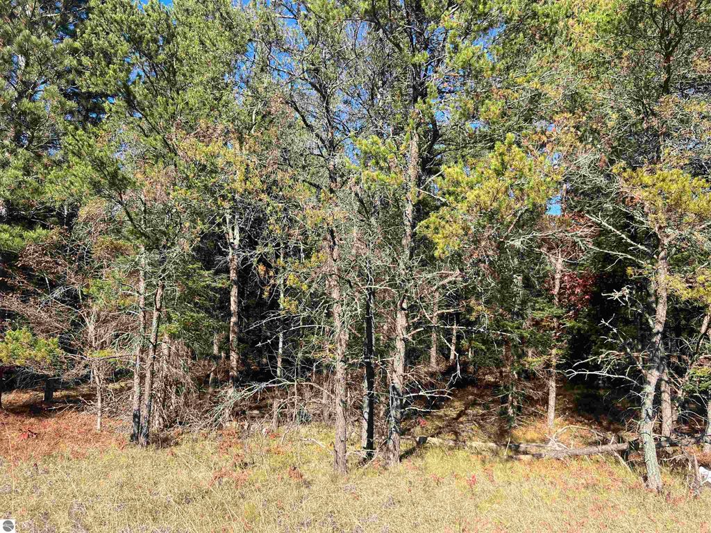 Image 5 of property listing at 0000 E North Down River Road, Grayling, MI 49738