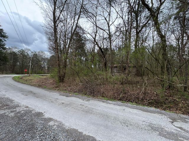 1029 Blythe Ferry Lane, Birchwood, TN 37308