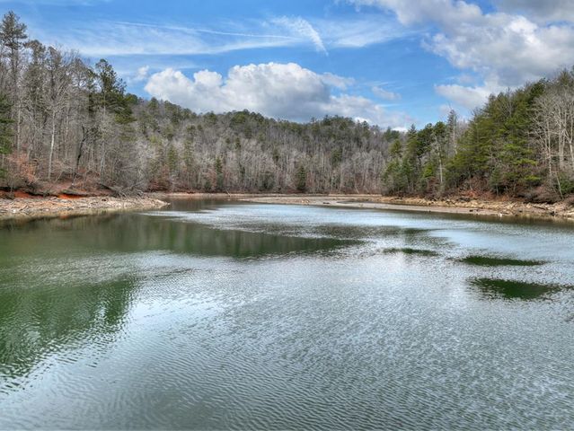 3693 Myna Drive, Ellijay, GA 30540