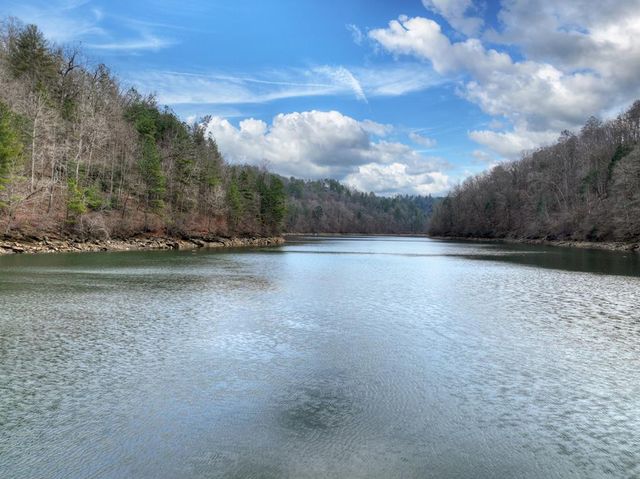 3693 Myna Drive, Ellijay, GA 30540