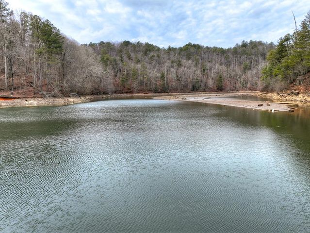 3693 Myna Drive, Ellijay, GA 30540