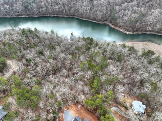 3693 Myna Drive, Ellijay, GA 30540