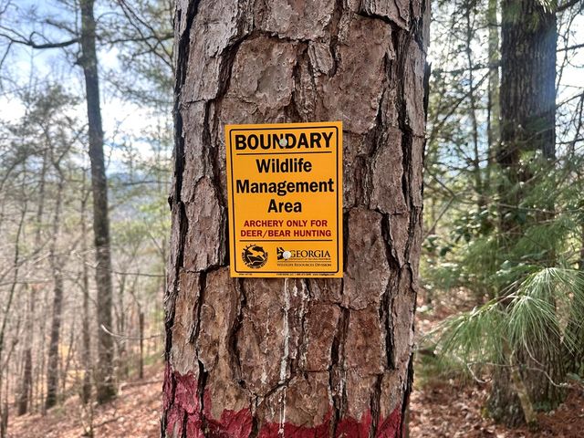 3693 Myna Drive, Ellijay, GA 30540