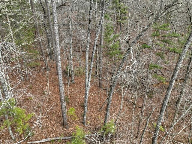 3693 Myna Drive, Ellijay, GA 30540