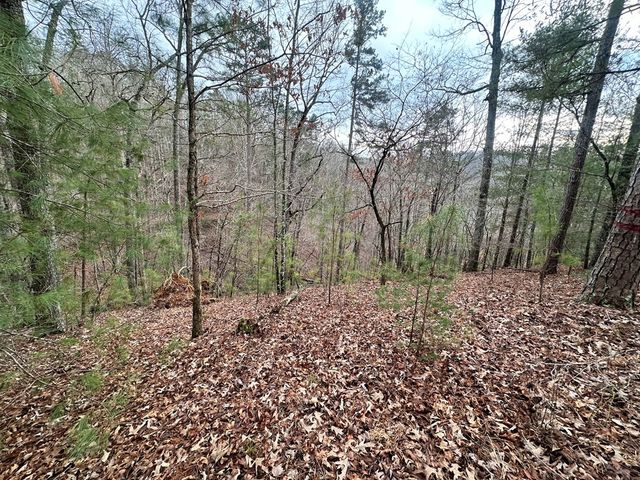 3693 Myna Drive, Ellijay, GA 30540