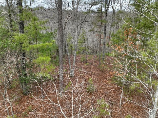 3693 Myna Drive, Ellijay, GA 30540