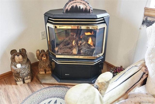 4069 Omer Lane, Divide, CO 80814