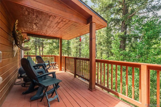 4069 Omer Lane, Divide, CO 80814