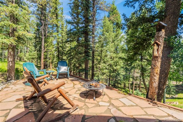 4069 Omer Lane, Divide, CO 80814