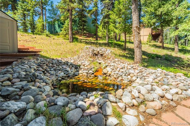 4069 Omer Lane, Divide, CO 80814