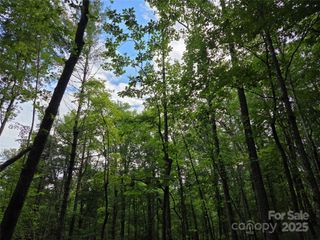 TBD Cedar Lane, Brevard, NC 28712