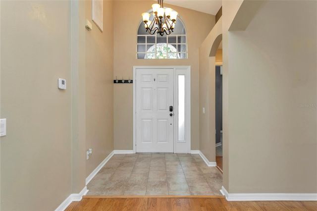 2617 BUCKHORN PRESERVE BOULEVARD, Valrico, FL 33596