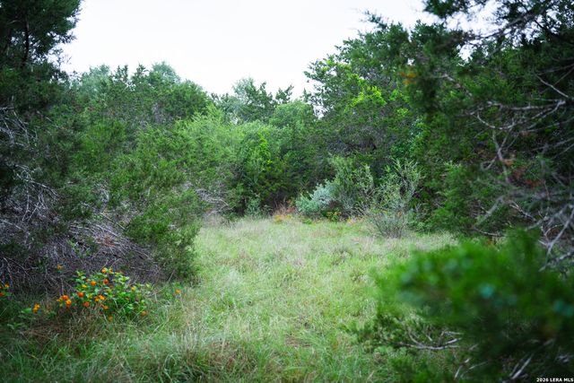25815 GREEN RIVER DR, San Antonio, TX 78260