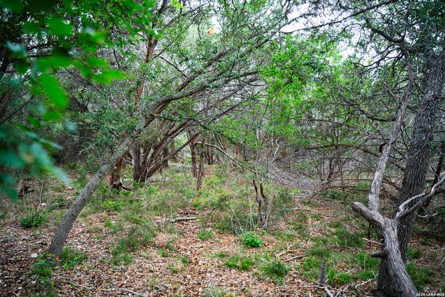 25815 GREEN RIVER DR, San Antonio, TX 78260