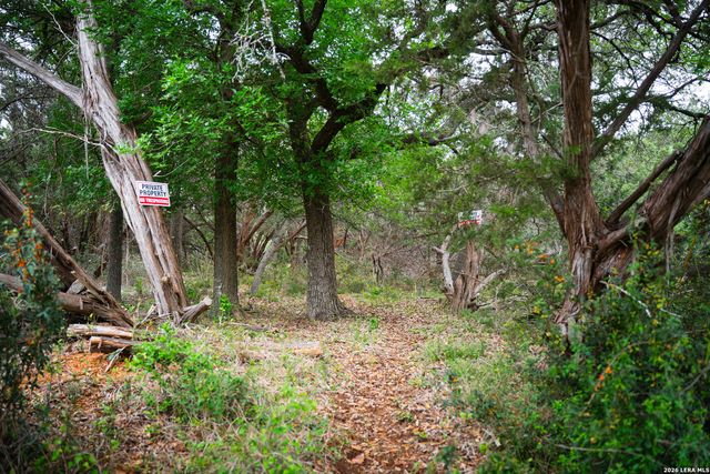 25815 GREEN RIVER DR, San Antonio, TX 78260