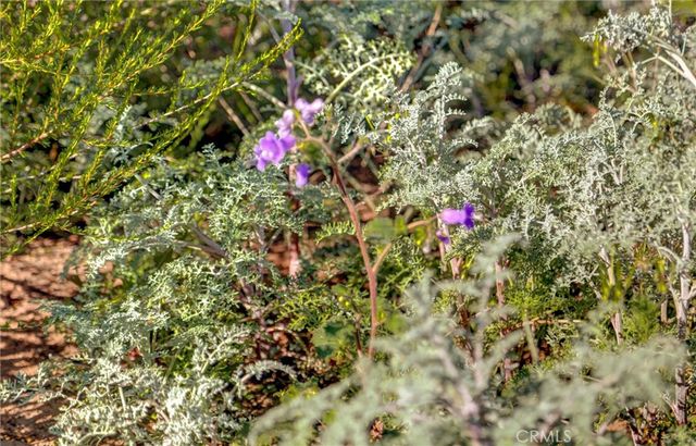 1 Decker Canyon Road, Ortega Mountain, CA 92530