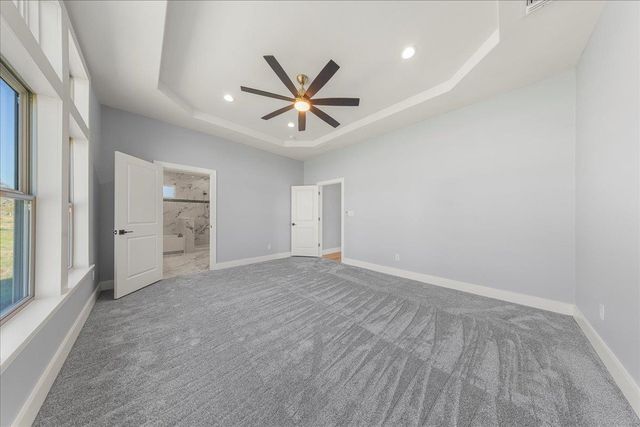 217 Gato RD, Cedar Creek, TX 78612