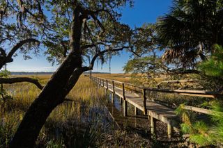 8525 Middleton Point Lane, Edisto Island, SC 29438