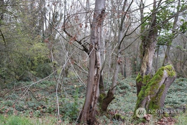 620 Wildwood Boulevard SW, Issaquah, WA 98027