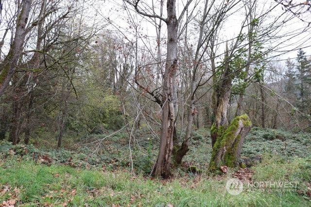 620 Wildwood Boulevard SW, Issaquah, WA 98027