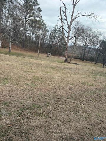 1353 N Valley Avenue, Collinsville, AL 35961