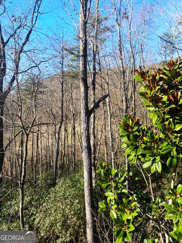 159 Prospect Trail, Cleveland, GA 30528