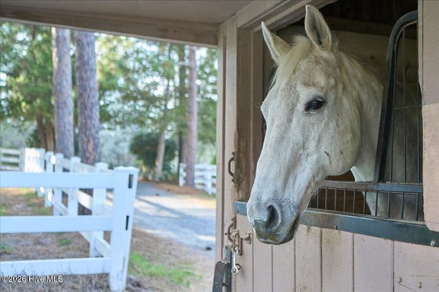 230 Old Dewberry Lane, Southern Pines, NC 28387