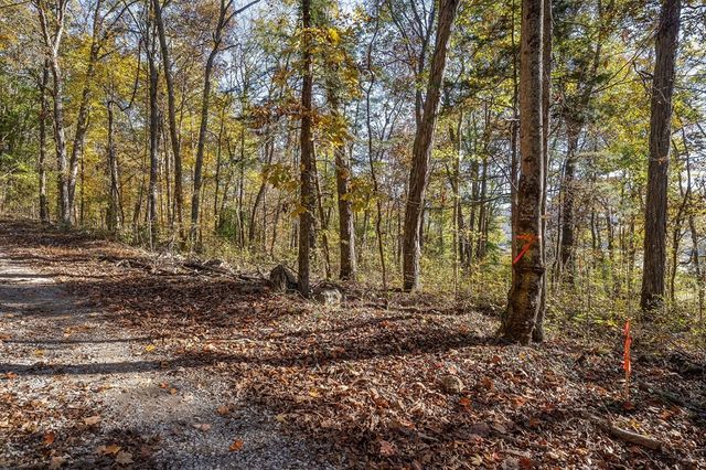 0 Webbs camp road, Walling, TN 38587