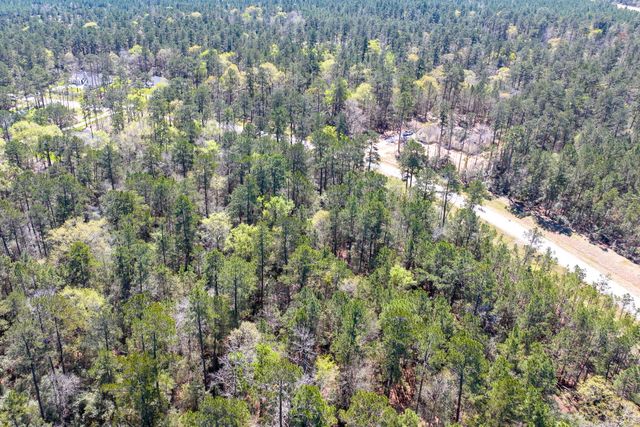 15628 Wood Grove Way, Willis, TX 77378