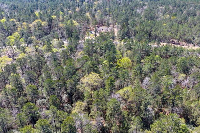 15628 Wood Grove Way, Willis, TX 77378