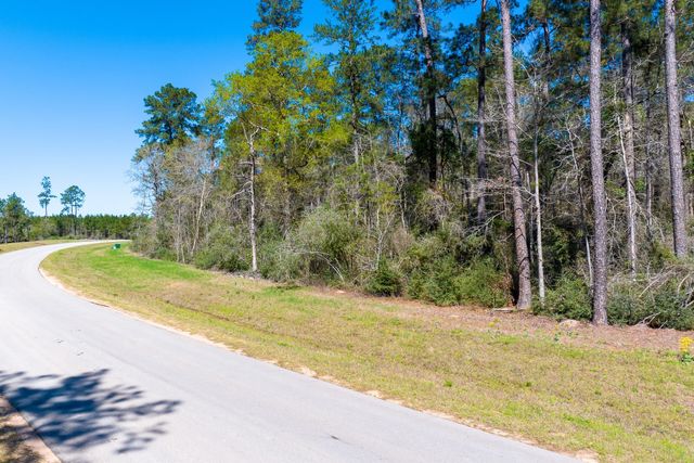 15628 Wood Grove Way, Willis, TX 77378