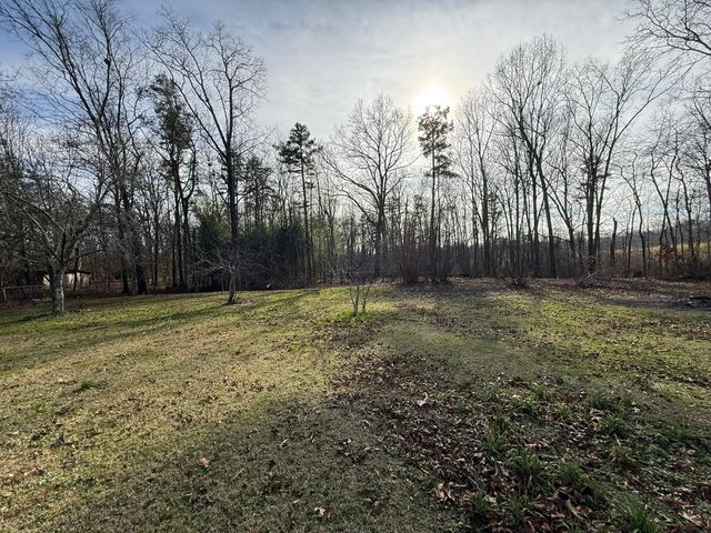 930 Co Rd 132, Bryant, AL 35958