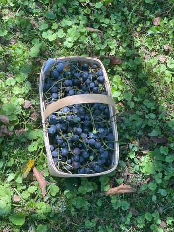 930 Co Rd 132, Bryant, AL 35958