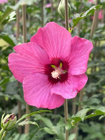 930 Co Rd 132, Bryant, AL 35958