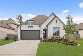 17847 Rojo Rocks Road, Conroe, TX 77302