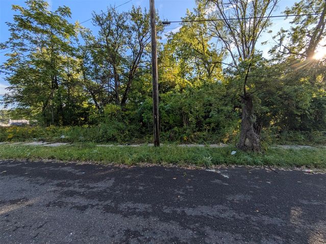 20536 Fayette Street, Detroit, MI 48203