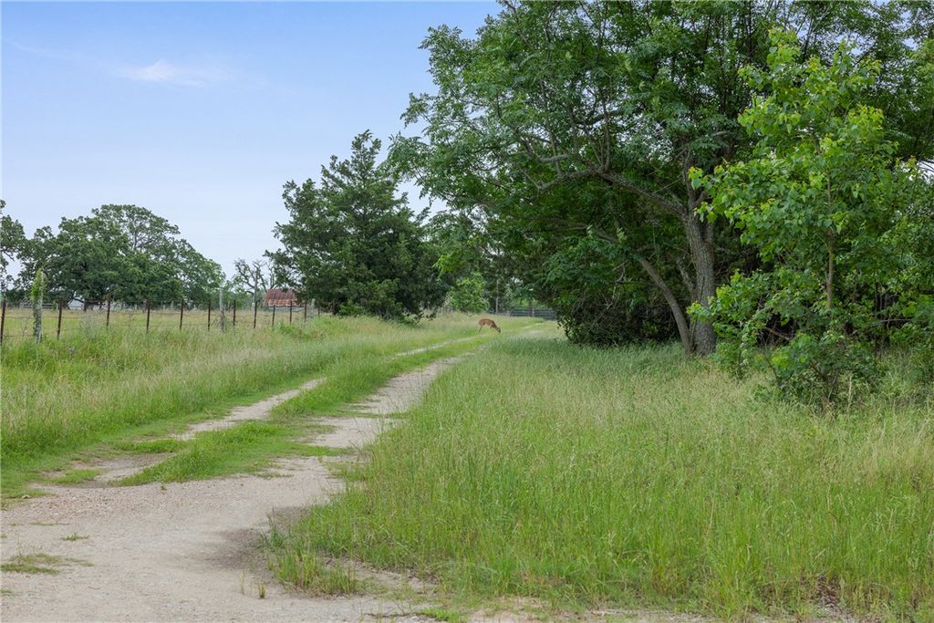 120 Avenue M, Somerville, TX 77879 — photo 3