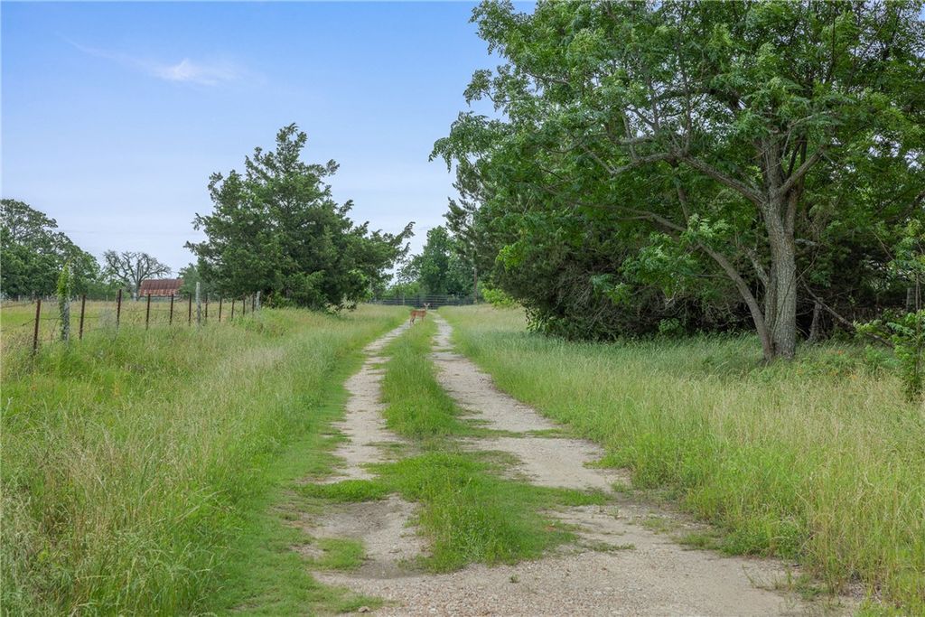 120 Avenue M, Somerville, TX 77879 — photo 4
