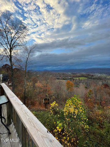 512 Wood View Court, Kingsport, TN 37664