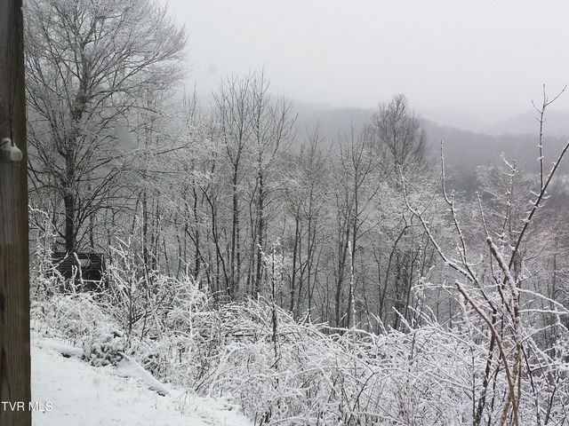 512 Wood View Court, Kingsport, TN 37664