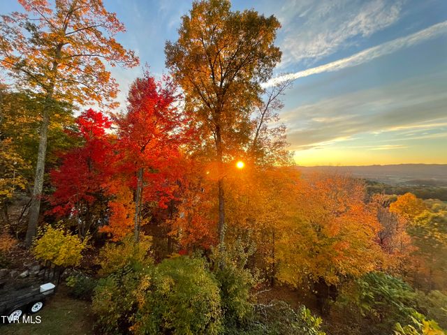 512 Wood View Court, Kingsport, TN 37664