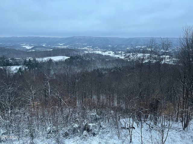 512 Wood View Court, Kingsport, TN 37664