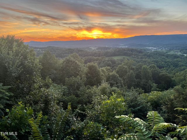 512 Wood View Court, Kingsport, TN 37664